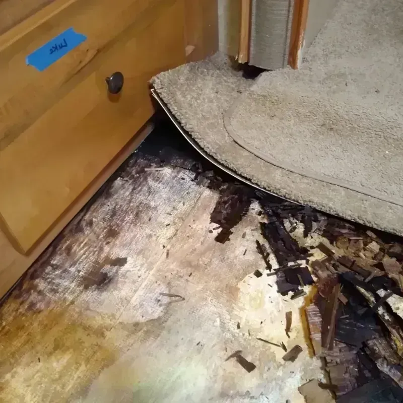 Wood Floor Water Damage in North Las Vegas, NV